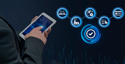 zerone case studies